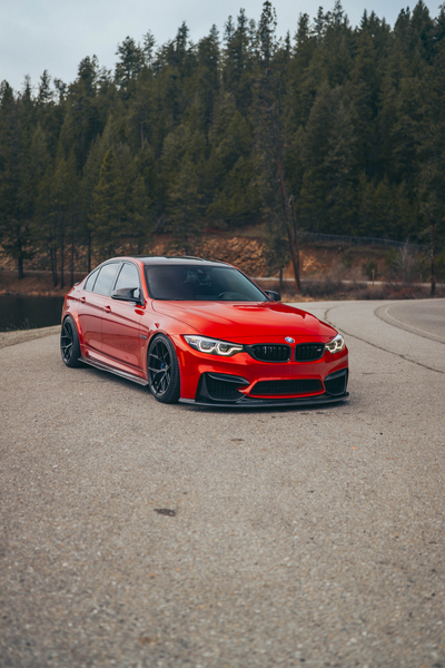 BMW F8X M3/M4 Carbon Fiber PSM Side Skirts - F80 M3/F82 F83 M4