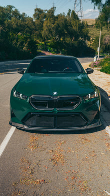G90 & G99 M5/G60 & i5 5 Series Carbon Fiber Front Grill Trim