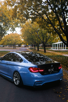 F82 M4/F36/F32 GTS Oled Taillights (Red)