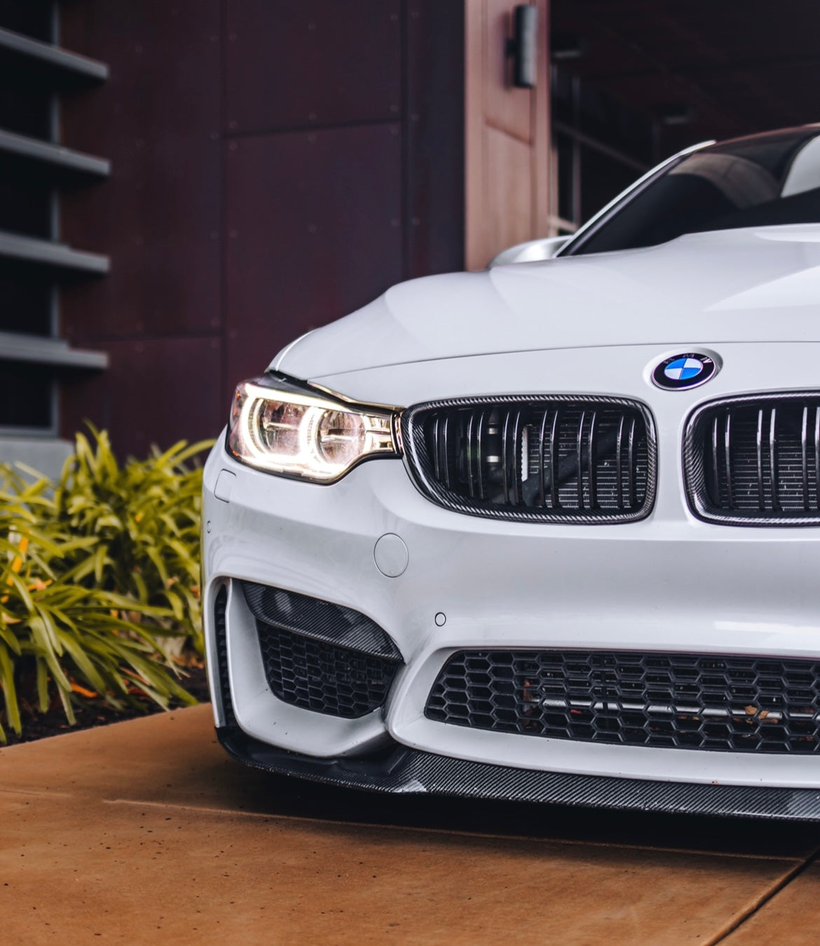 F8X M3/M4 V1 Carbon Fiber Upper Fangs