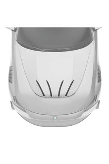 Revozport G87 M2 Carbon Fiber Hood Strakes - Race Division